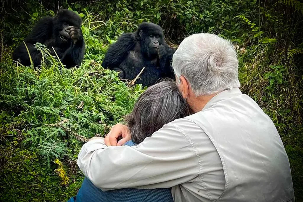Couple gorilla trekking experience in Rwanda