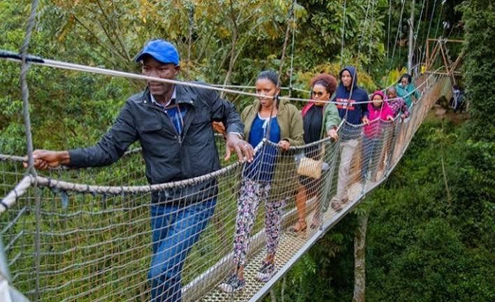 One&Only Nyungwe House Luxury Chimpanze and Canopy Walk Safari