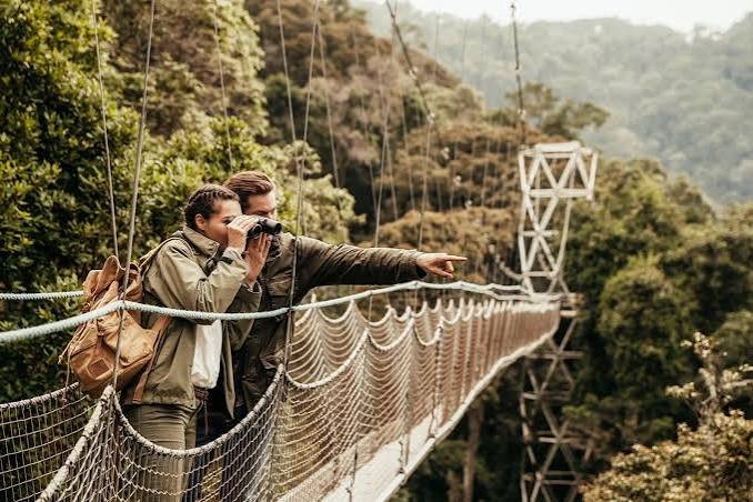 Nyungwe Forest Luxury Safari Experience