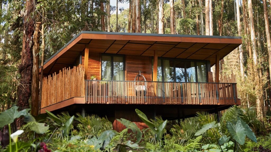 One&Only Gorilla’s Nest and Kivu Queen Luxury Safari