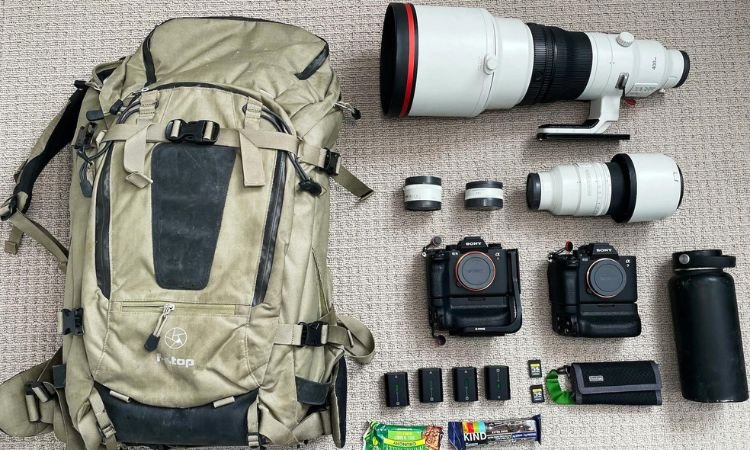 Photography Gear for Gorilla Trekking