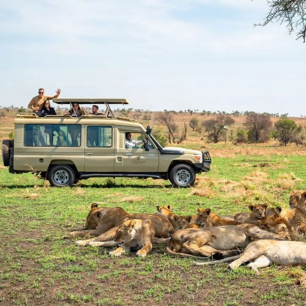 Difference Between Rwanda and Uganda Gorilla Trekking Safari Combinations