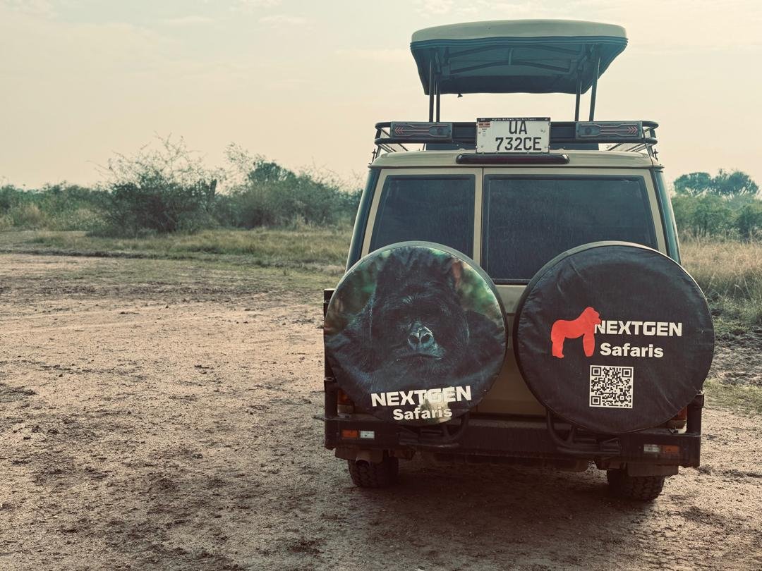 How Do You Get From Kigali to Bwindi Uganda safari transfer