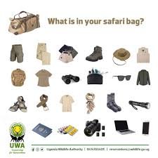 Essential Packing for Gorilla Trekking in Rwanda